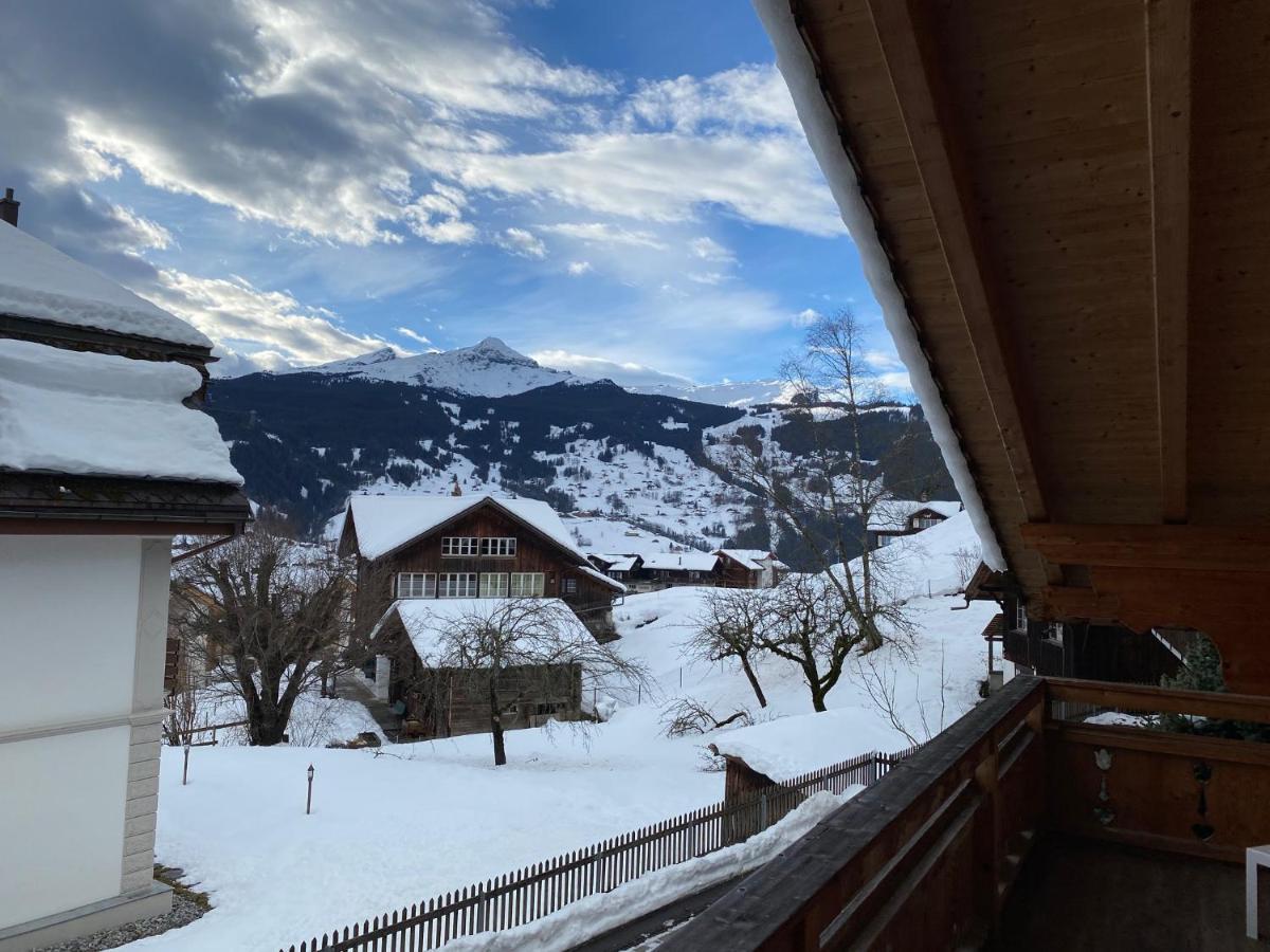 Chalet Elizabeth Appartamento Grindelwald Esterno foto